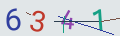 verifycode